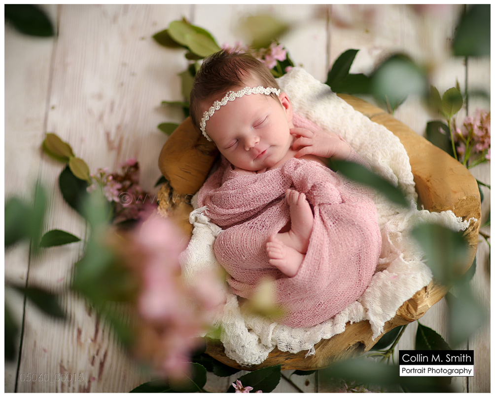 © Collin M. Smith Portrait Photography www.cmsmithportraits.com/blog